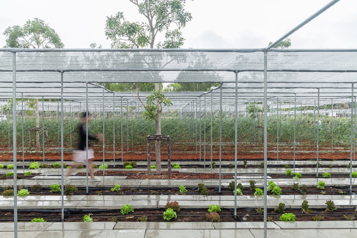 [Mass Timber] Neither Farm Nor Hotel: Why Agritourism Needs Its Own Architectural Typology